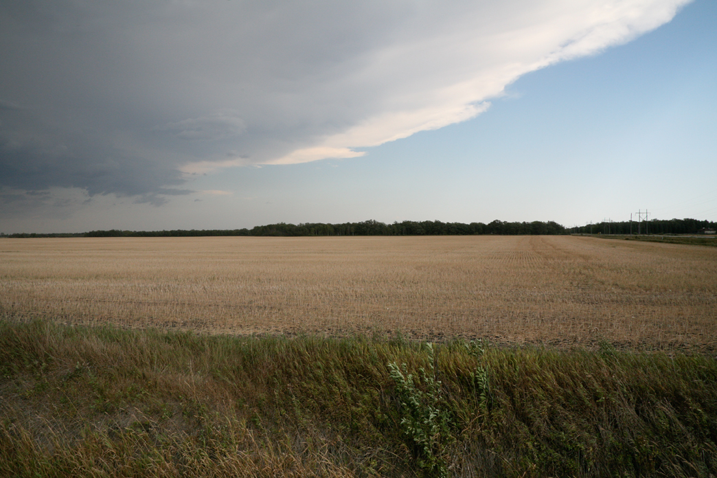 Prairie Fields August